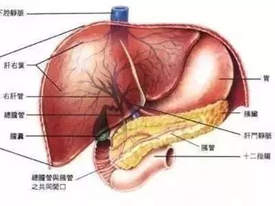 治疗肝病艾灸这样做