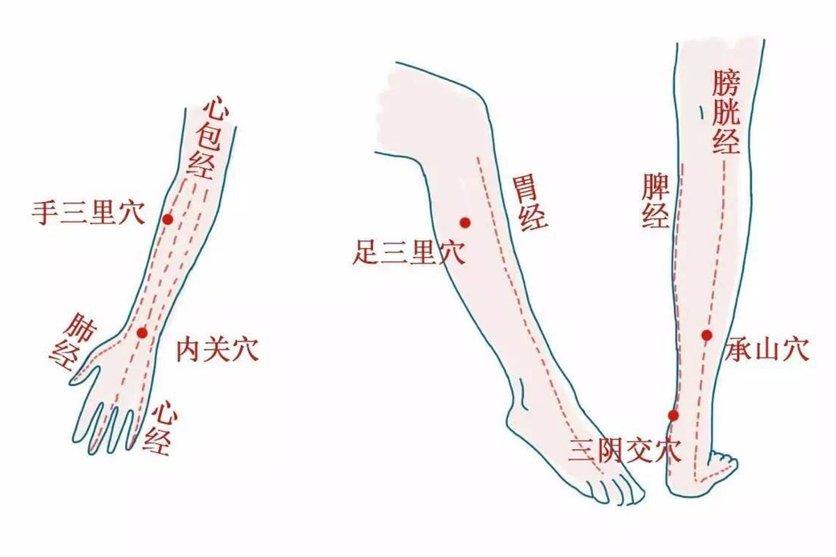 艾灸除湿气灸部位图片