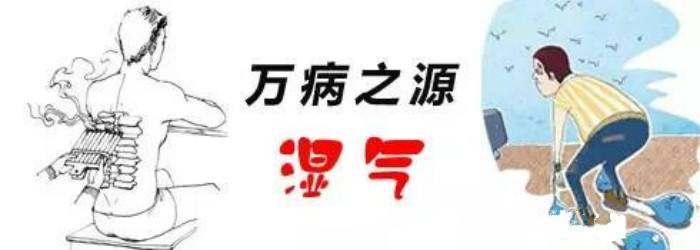 艾灸除湿气灸部位图片
