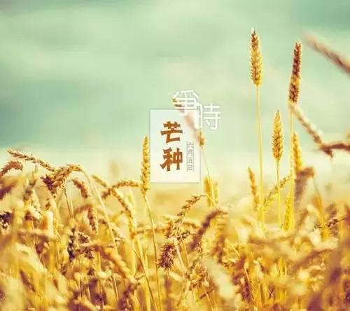 24节气灸艾灸疗法