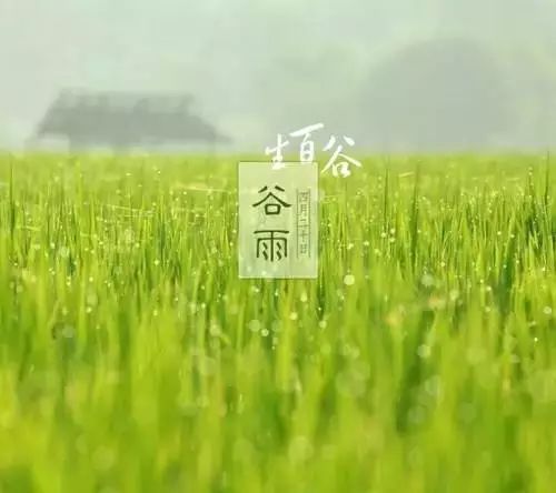24节气灸艾灸疗法