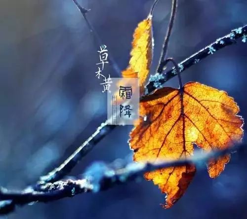 24节气灸艾灸疗法