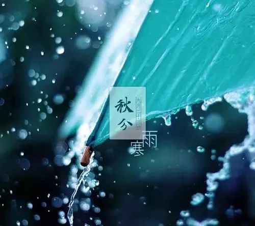 24节气灸艾灸疗法