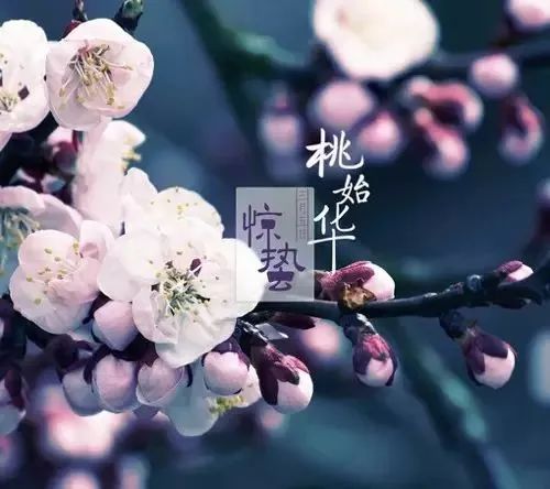 24节气灸艾灸疗法