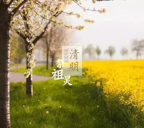 24节气灸艾灸疗法