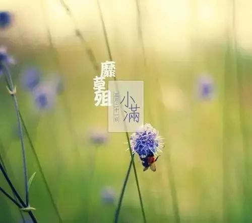 24节气灸艾灸疗法