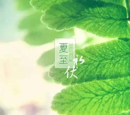 24节气灸艾灸疗法