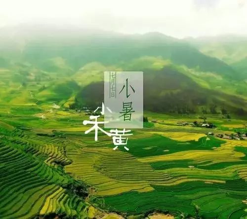 24节气灸艾灸疗法