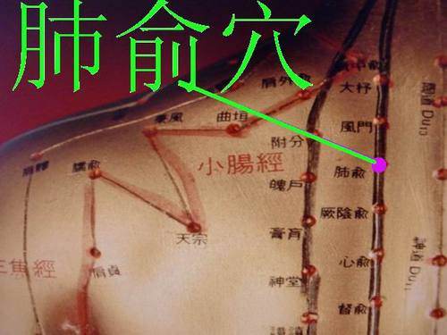 肺俞穴的准确位置图