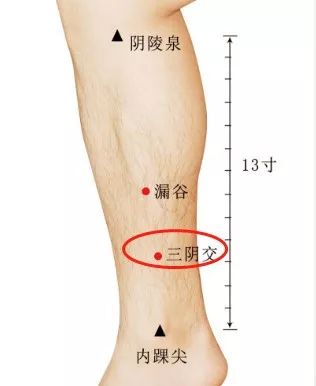 气血不足艾灸哪里_艾灸补气血