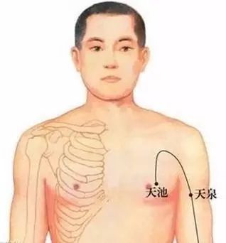 天池穴_女性的抗癌穴长寿穴图片