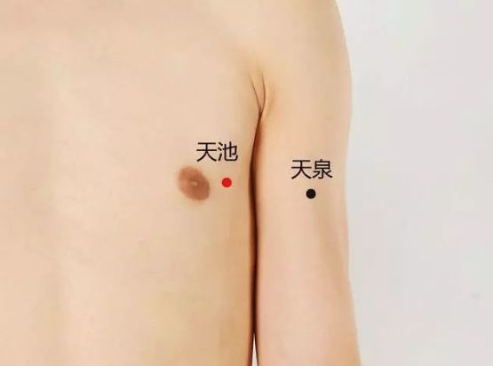 天池穴_女性的抗癌穴长寿穴图片