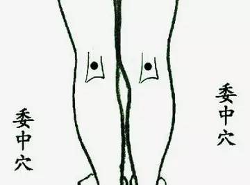 委中穴