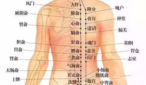 腰背部疼痛