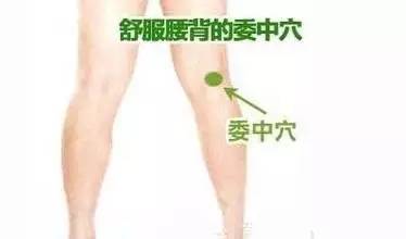 委中穴