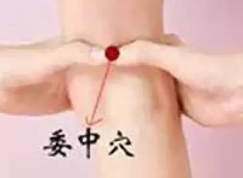 委中穴