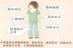 阳虚体质的表现及调养艾灸穴位图