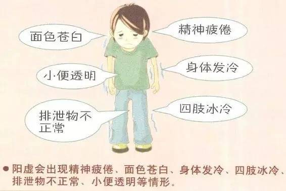阳虚体质的表现
