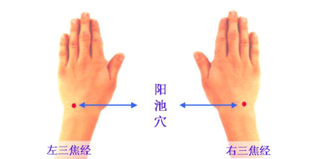 上火艾灸灸哪里下火