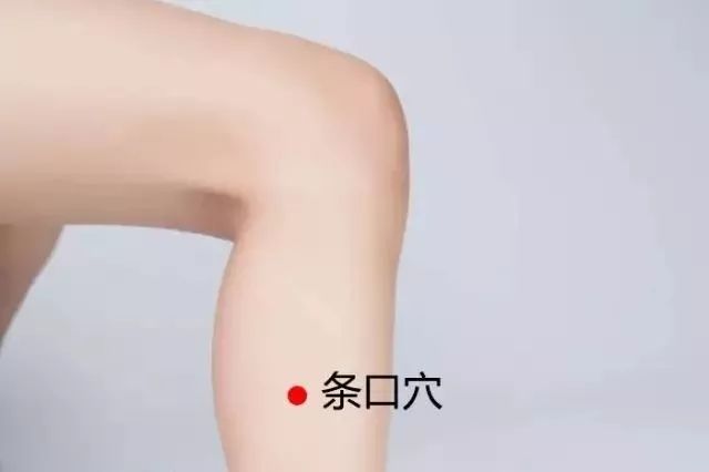 肩周炎艾灸哪些部位图