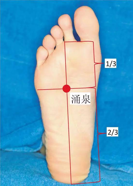 涌泉穴道位置图