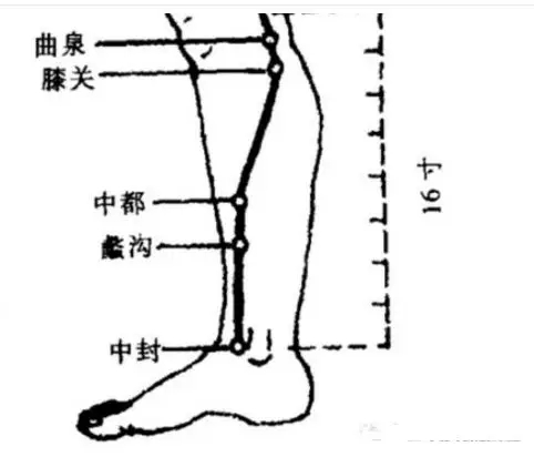 蠡沟穴