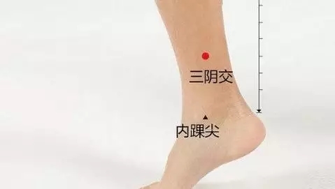 三阴交穴