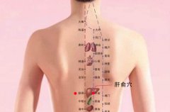 肝俞穴艾灸穴位图解,主治疾病