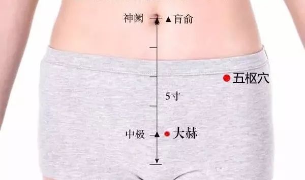 五枢穴