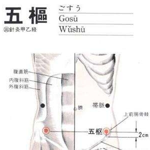 五枢穴