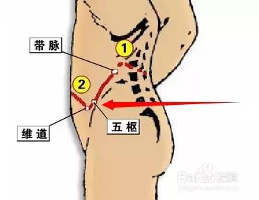 五枢穴