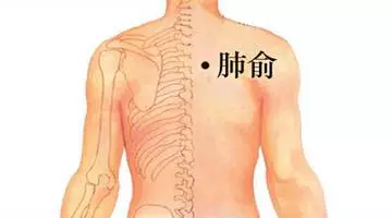 肺俞