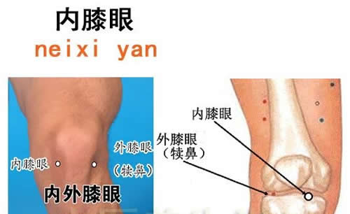 膝盖疼艾灸哪里
