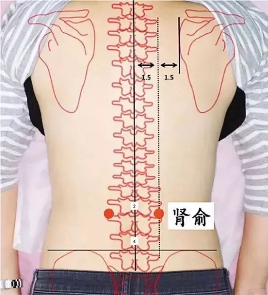 艾灸减肥灸哪里