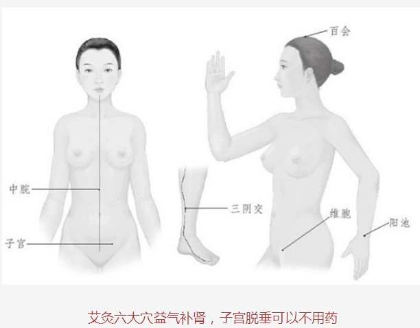 艾灸子宫的位置示意图
