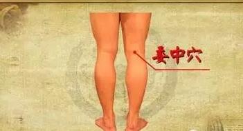 委中穴