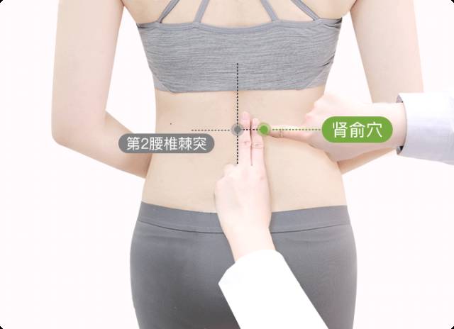 艾灸贴  