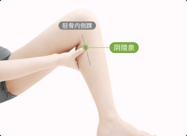 阴陵泉