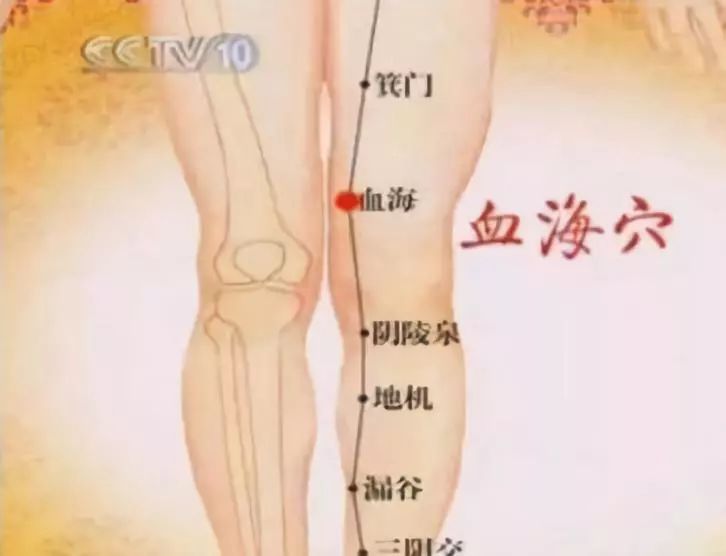 血海穴