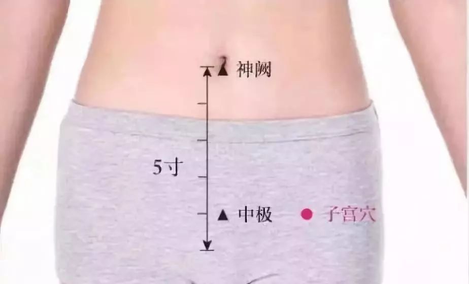 中极穴