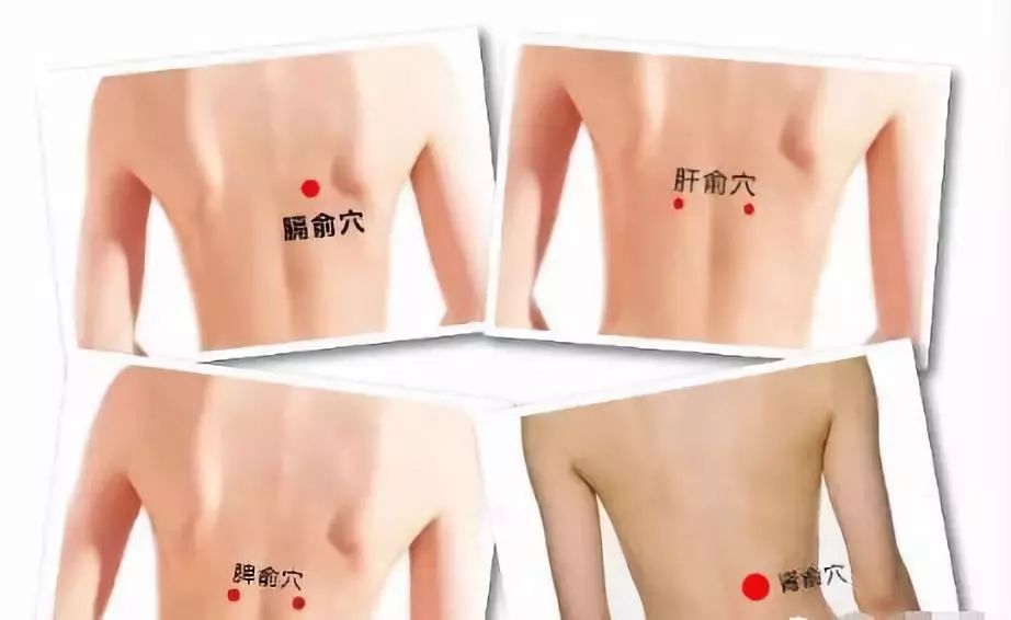 膈俞、肝俞、脾俞、肾俞
