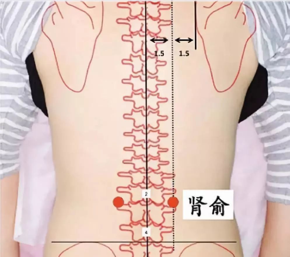 肾俞穴