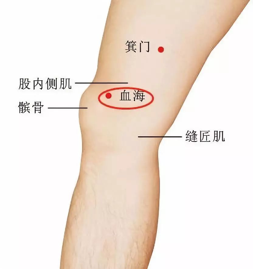 血海  