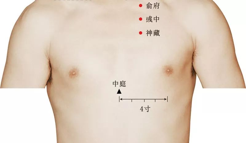 俞府穴准确位置图