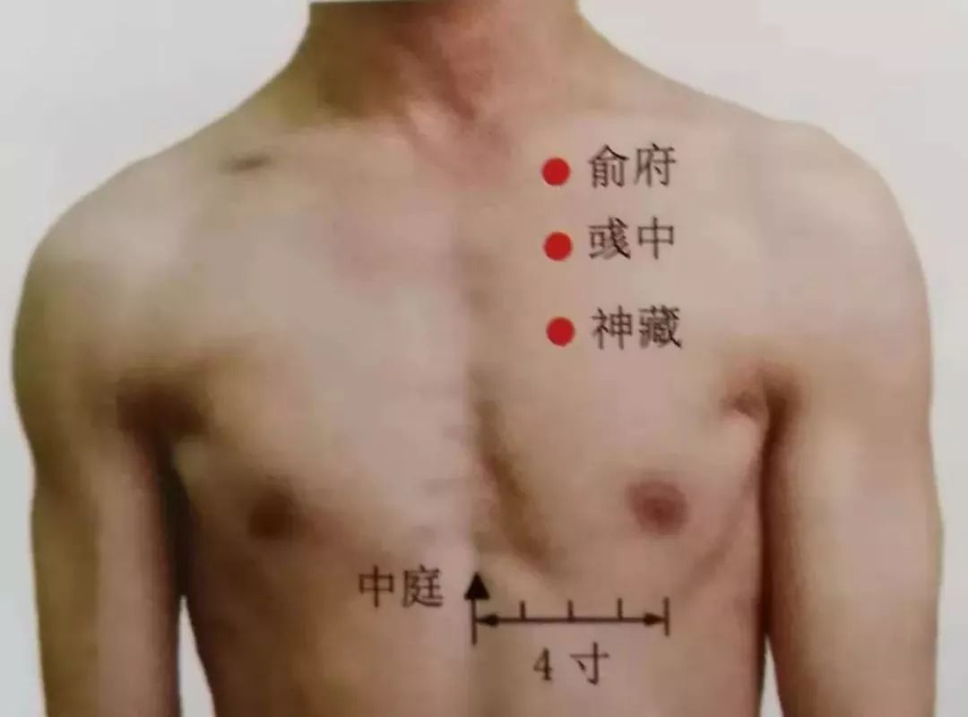 俞府穴