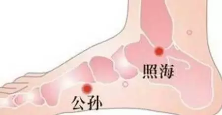 公孙