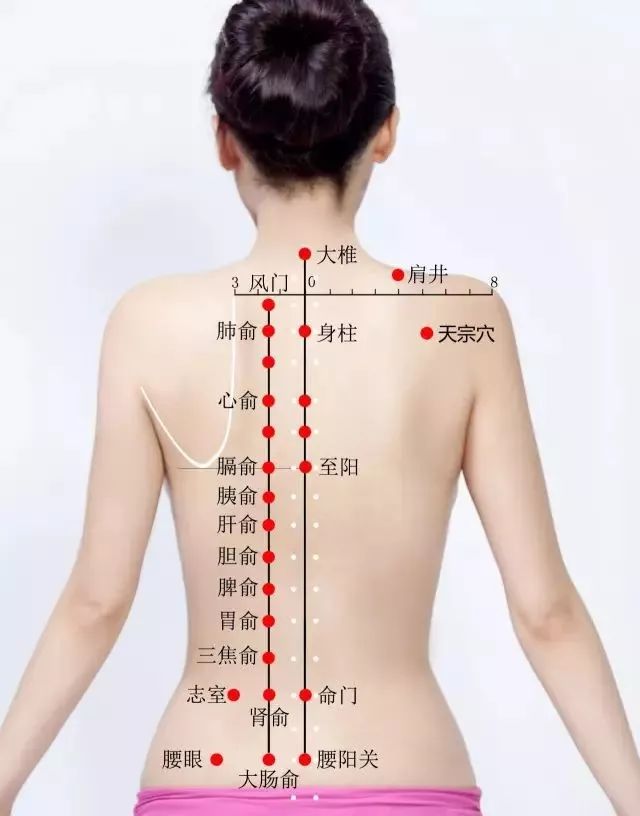天宗穴功能