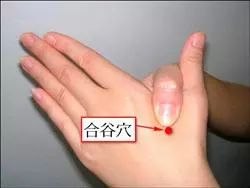 面口合谷收