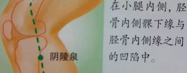 阴陵泉