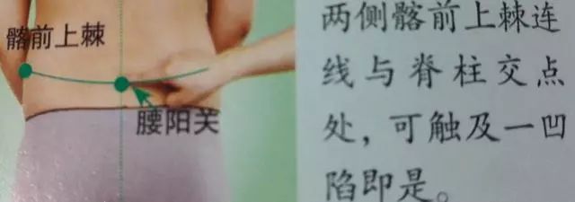 腰阳关